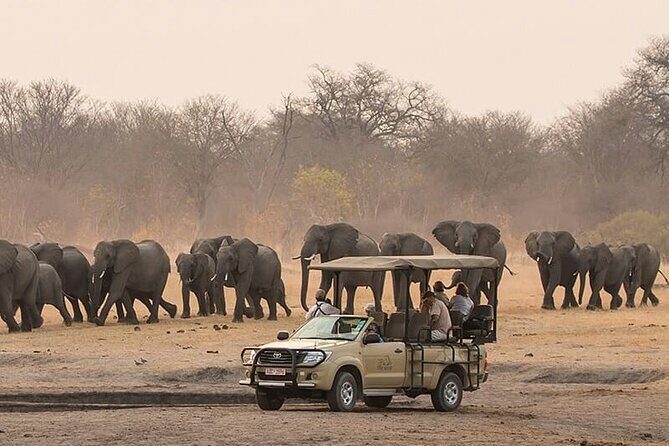 Game Drive Morning & Afternoon - Key Points