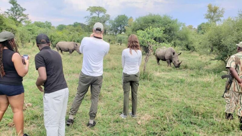 Game Drive plus White Rhino short walk - Key Points