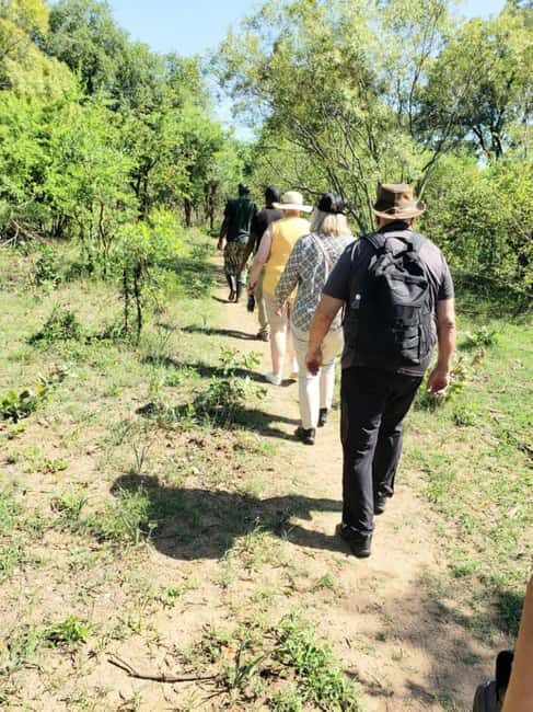 Game Drive plus White Rhino short walk - An In-Depth Look at the Experience
