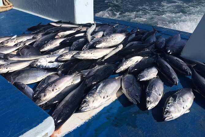 Game Fishing and Trolling around Phuket - What to Expect from the Itinerary