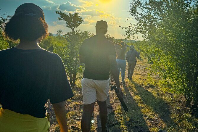 Game Walk in the Zambezi National Park, Victoria Falls - An In-Depth Look at the Zambezi National Park Game Walk