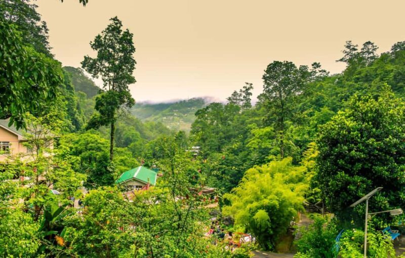 Gangtok in Half a Day: Guided Tour with Hotel Pickup - Final Thoughts
