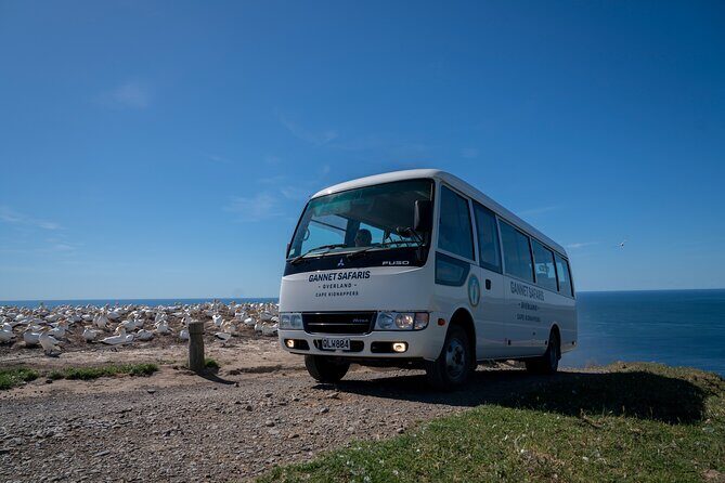 Gannet Safaris Overland tour to Cape Kidnappers Gannet Colony - Price and Value