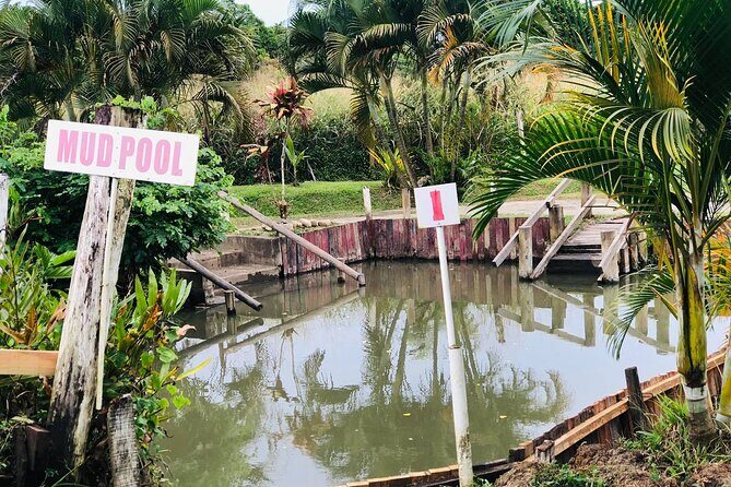 Garden Of Sleeping Giant ,Mudpool &Temple Tour From Coral Coast - The Sum Up