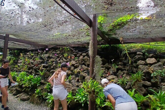 Garden of Sleeping Giant Tour with Tifajek Mud Pool and Hotspring - Who will love this tour?