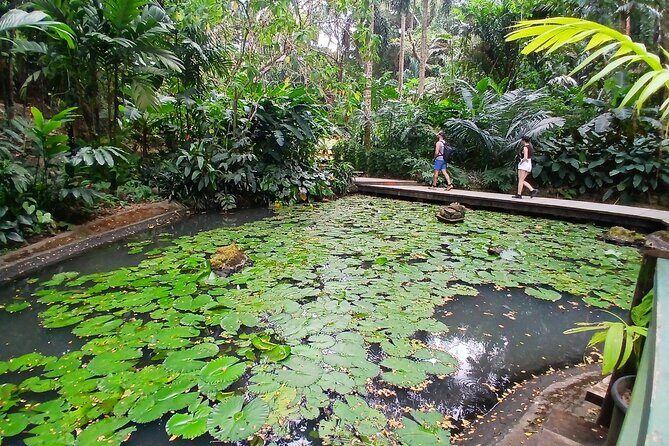 Garden of Sleeping Giant Tour with Tifajek Mud Pool and Hotspring - Key Points