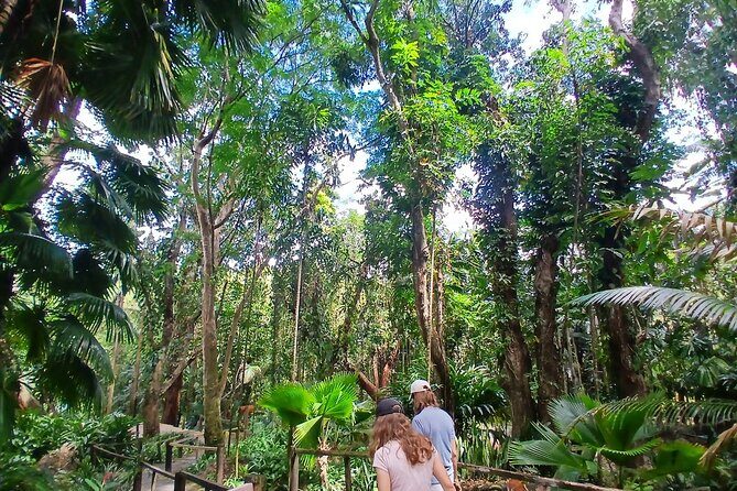 Garden of Sleeping Giant Tour with Tifajek Mud Pool and Hotspring - Price and Value