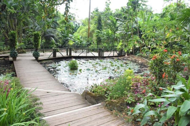 Garden of Sleeping Giant with Sabeto Hotspring Mudpool Tour - Final Thoughts