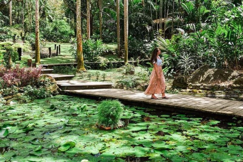 Garden of Sleeping Giant with Tifajek Mudpool Hotspring Tour - Who Should Consider This Tour?