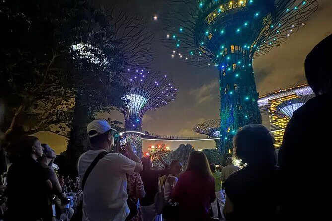 Garden Rhapsody, Spectra Show & Singapore River Cruise Night Tour - A Closer Look at the Tour