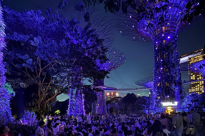 Garden Rhapsody, Spectra Show & Singapore River Cruise Night Tour - Who Should Book This Tour?