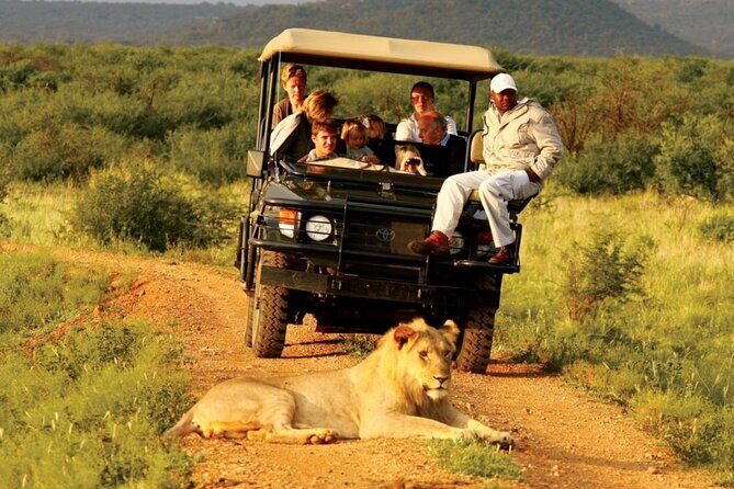 Garden Route 5 Day Hiking & Safari Adventure from Cape Town - An In-Depth Look at the 5-Day Garden Route Tour