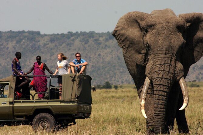Garden Route & Botlierskop G Reserve 5 Day Safari from Cape Town - A Close Look at the Itinerary