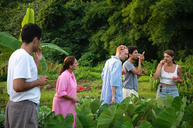 Garden to Table and Private Cooking Class in St. George - The Cooking Class and Meal
