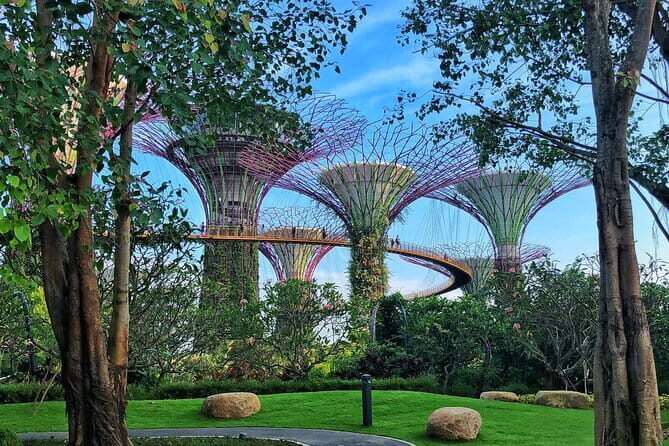 Gardens by the Bay Guided Tour - Overview of the Gardens by the Bay Guided Tour