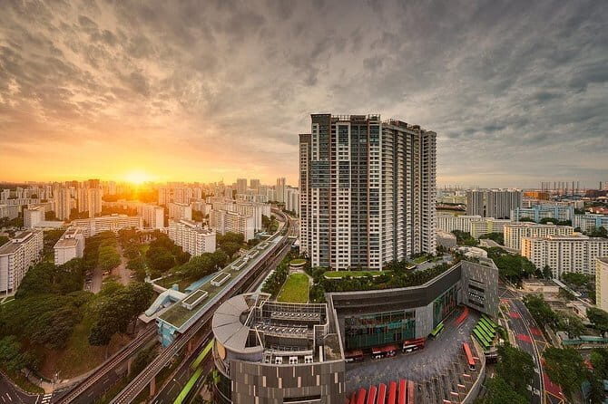 Gardens by the Bay Guided Tour - What the Reviews Say
