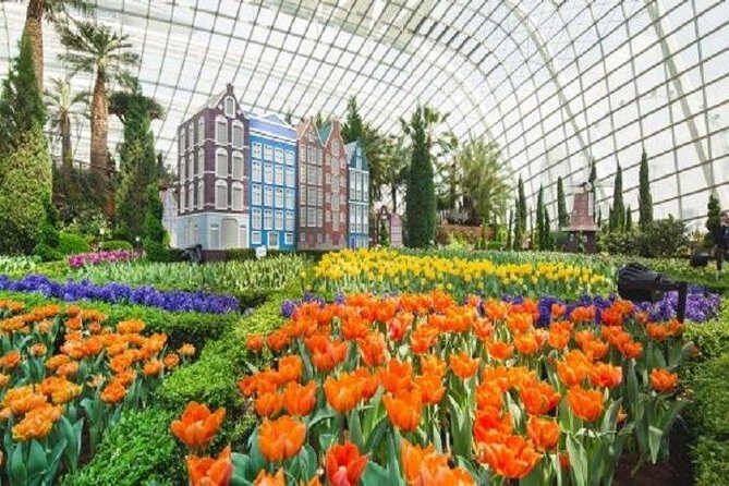 Gardens By The Bay Ticket - The Main Attractions