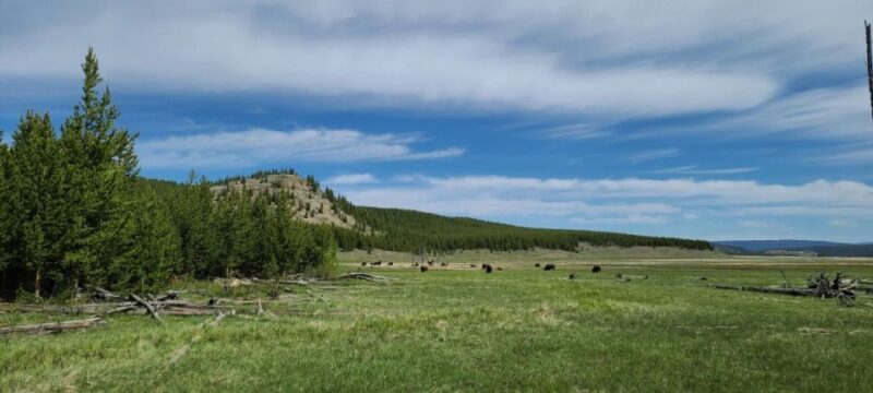 Gardiner: Yellowstone National Park Half Day Guided Hike - FAQs