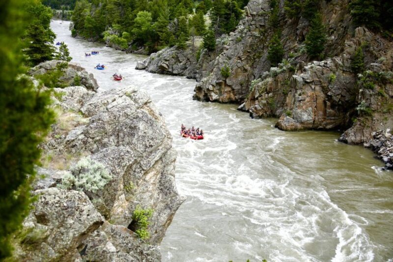 Gardiner: Yellowstone River Half-Day Whitewater Rafting - What to Expect from Your Yellowstone River Rafting Experience