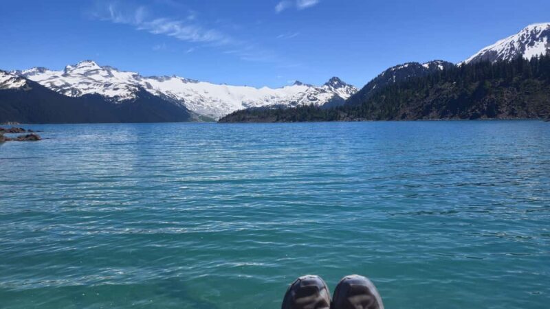 Garibaldi Park: Garibaldi Lake Hiking Tour - Who Will Love This Experience