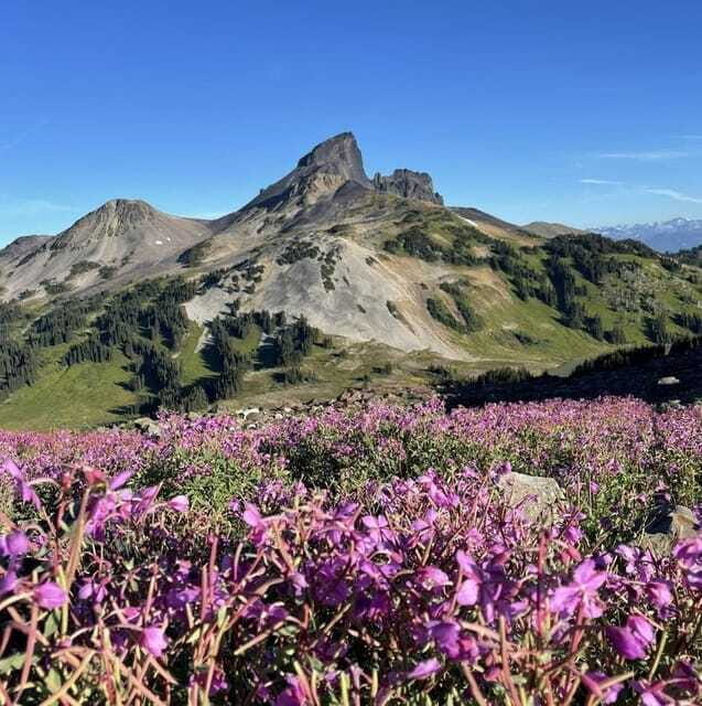 Garibaldi Park/ Panorama Ridge/ Hiking Day Trip - Final Thoughts