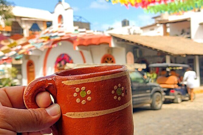 Gastronomic, Historical, And Cultural Tour In Sayulita - Who Will Appreciate This Tour?