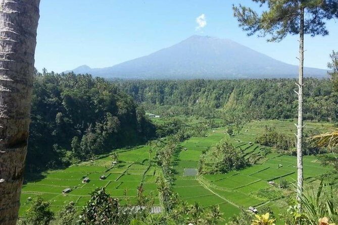 Gate Heaven Lempuyang Tirta Gangga East Bali Private Guided Tour - Authentic Experience and Traveler Insights