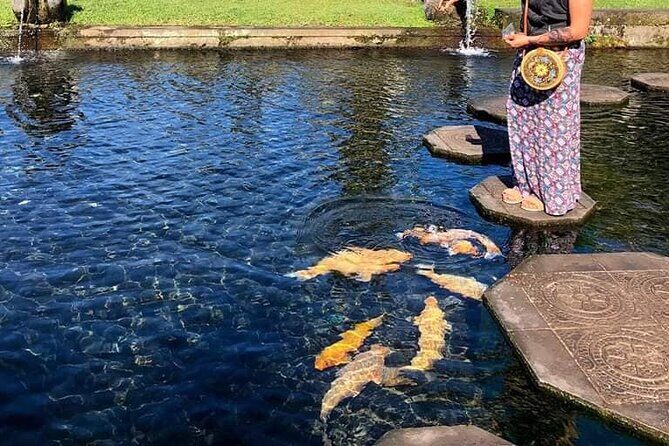 Gate of Heaven Tour With Guide : All-Inclusive Best Experience - Lunch at Wapa di Ume Sidemen