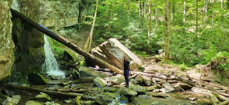 Gatlinburg: Great Smoky Mts National Park Waterfall Tour - Budget and Value Considerations