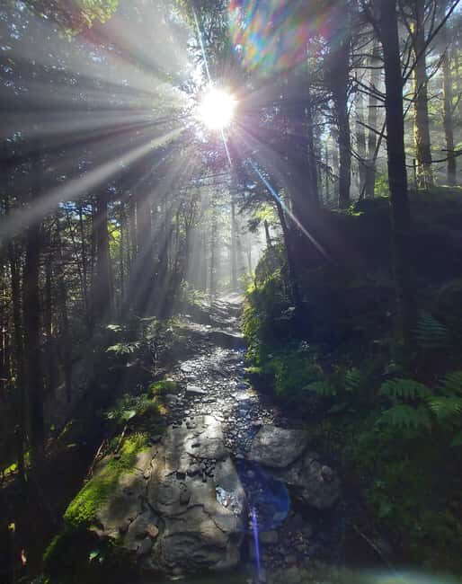 Gatlinburg: Smoky Mountain Appalachian Bald Guided Hike - Key Points