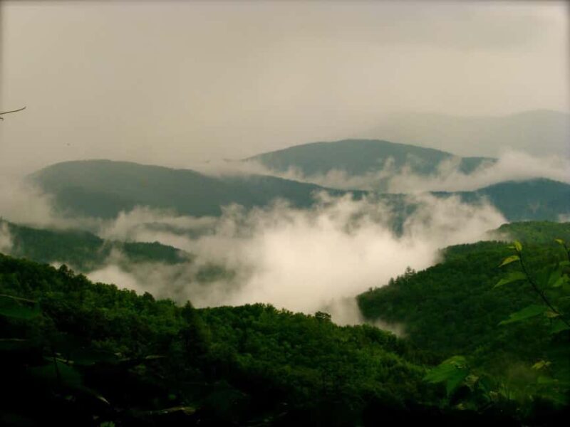Gatlinburg: Smoky Mountain Appalachian Bald Guided Hike - FAQ