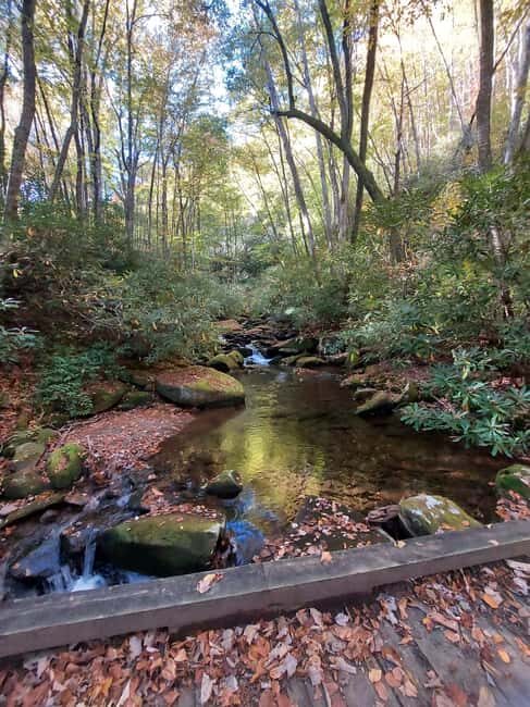 Gatlinburg: Smoky Mountains Fall Foliage Guided Tour - Practical Tips for Your Fall Foliage Tour