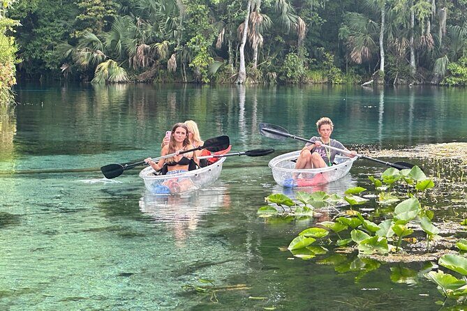 Gator Viewing Clear Kayak Springs Tour - Gator Viewing Clear Kayak Springs Tour Review
