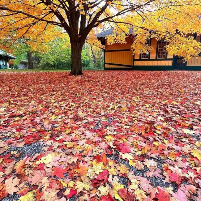 GCV&M Fall 2025 Extended Weekends - A Balanced Look at the Tour