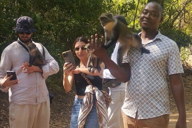 Gede Ruins & Malindi Tour - An In-Depth Look at the Gede Ruins & Malindi Tour
