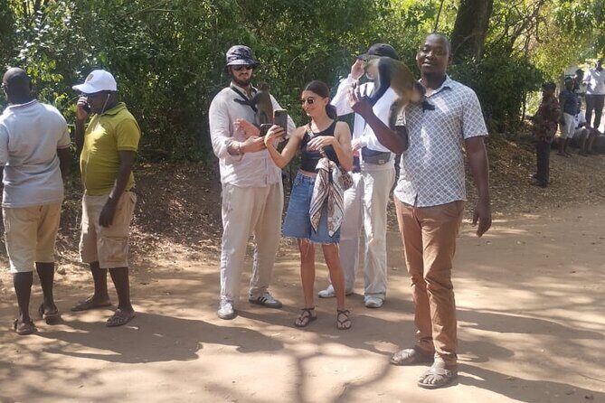 Gede Ruins & Malindi Tour - Practical Aspects: Transportation, Cost, and Comfort