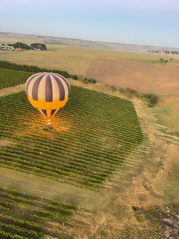 Geelong Hot Air Balloon Flight - The Practicalities: What to Know Before You Book