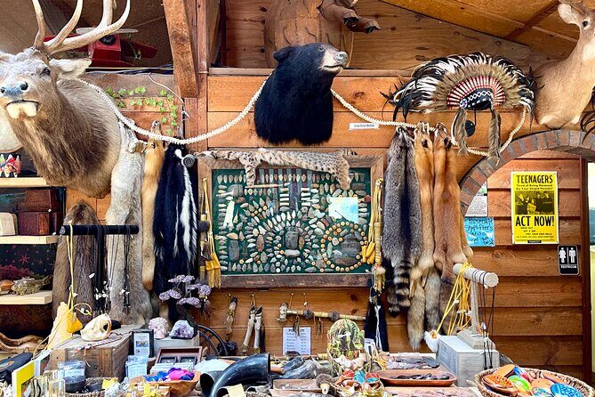 Gem Mining and Goat Farm Walking Tour in Hendersonville - Who Will Love This Tour?