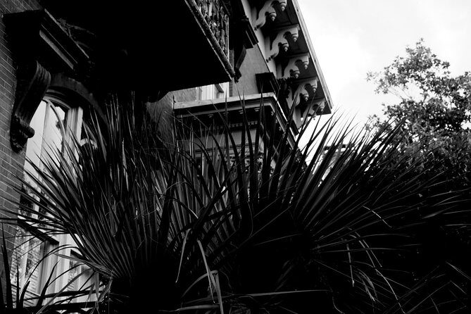 Genteel and Bard's Savannah Dark History and Ghost Encounter Walking Tour - Final Thoughts