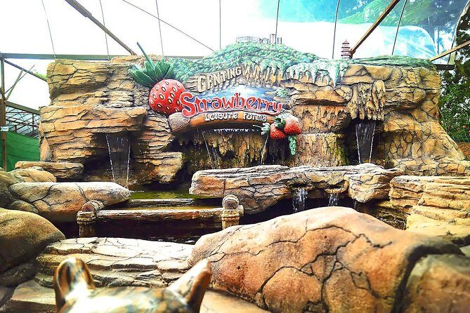 Genting Day Tour From Kuala Lumpur Include 2-way Cable Car Ride - Transportation and Timing: What to Expect