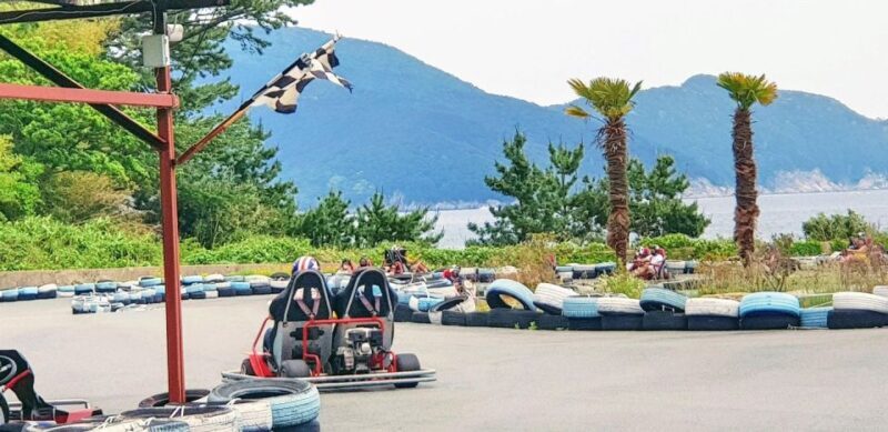 Geoje Island: Private or Shared Day Tours (Max 6) - Value and Practical Tips
