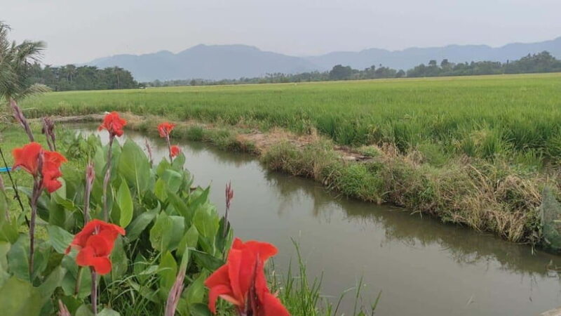 George Town: Balik Pulau Countryside Morning Cycling Tour - A Deep Dive into the Tour Experience