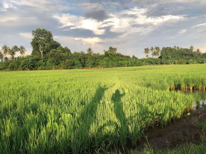George Town: Balik Pulau Countryside Morning Cycling Tour - Who Will Love This Tour?
