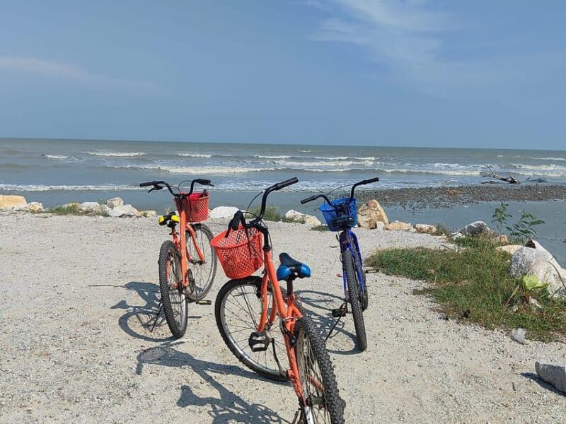George Town: Balik Pulau Countryside Morning Cycling Tour - The Sum Up