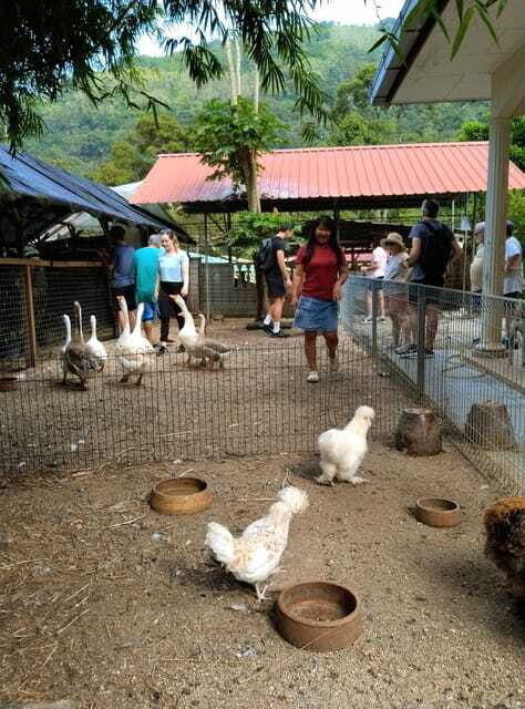 George Town, Penang: Malay Countryside Cycling - The Value for Money