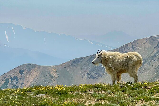 Georgetown via Guanella Pass Private Colorado Adventure Tour - Frequently Asked Questions