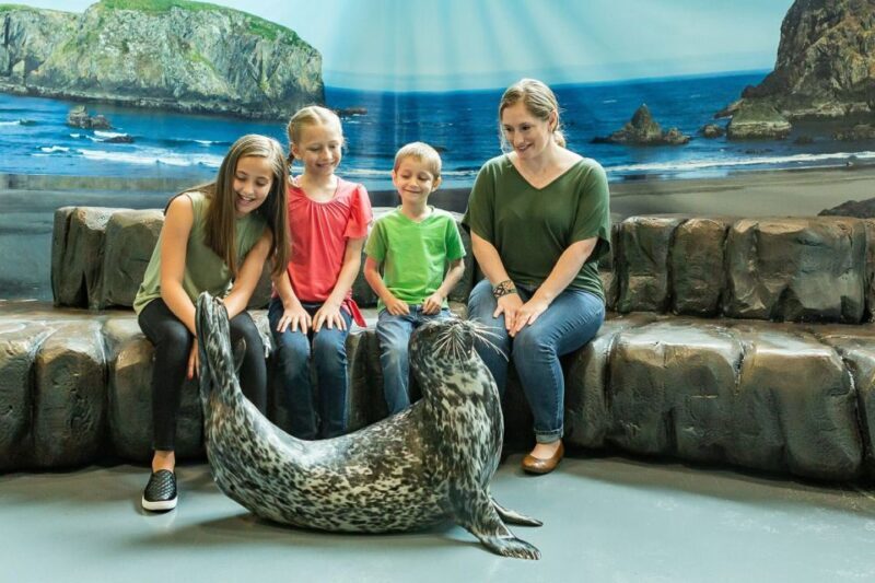 Georgia Aquarium: Sea Lion Encounter - What the Experience Entails
