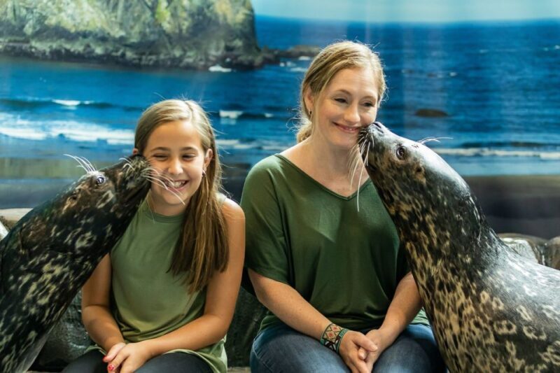 Georgia Aquarium: Sea Lion Encounter - What Past Participants Say