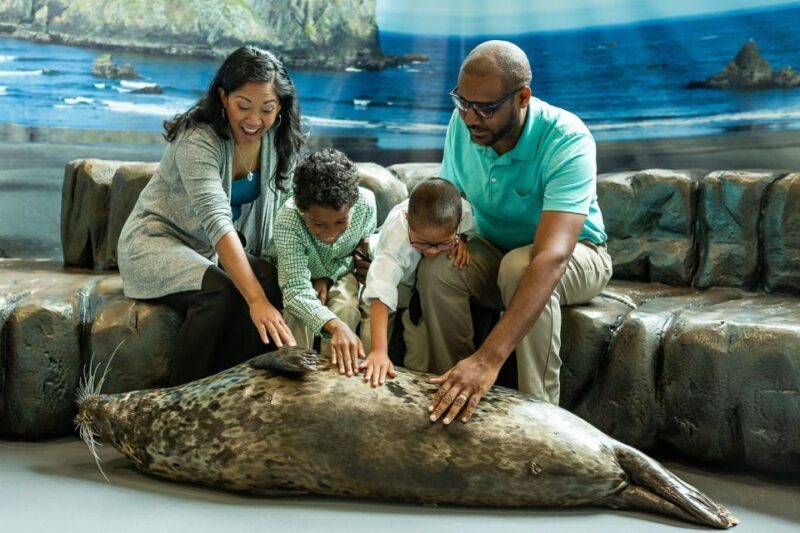 Georgia Aquarium: Sea Lion Encounter - Who Should Consider This Tour?