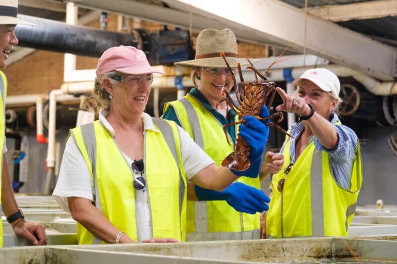 Geraldton: Behind-The-Scenes Ocean Harvest Tour - Final Thoughts